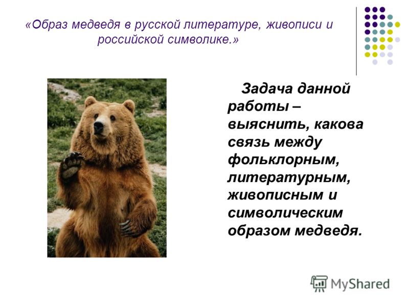 сказка про медведя слушать сказка про медведя слушать