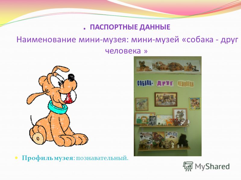 . ПАСПОРТНЫЕ ДАННЫЕ Наименование мини-музея: мини-музей «собака - друг человека » Профиль музея: познавательный.