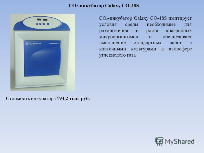 СО 2 -инкубатор Galaxy CO-48S СО 2 -инкубатор Galaxy CO-48S имитирует условия среды необходимые для размножения и роста анаэробных микроорганизмов и обеспечивает выполнение стандартных работ с клеточными культурами в атмосфере углекислого газа Стоимо