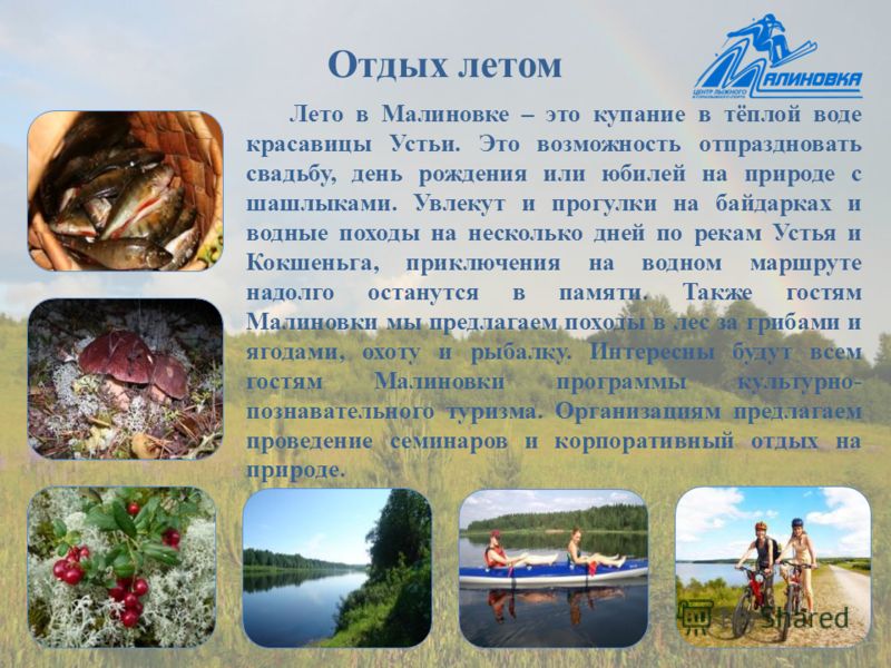 Отдых летом Лето в Малиновке – это купание в тёплой воде красавицы Устьи. Это возможность отпраздновать свадьбу, день рождения или юбилей на природе с шашлыками. Увлекут и прогулки на байдарках и водные походы на несколько дней по рекам Устья и Кокше