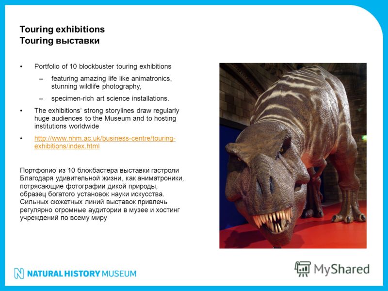 Portfolio of 10 blockbuster touring exhibitions –featuring amazing life like animatronics, stunning wildlife photography, –specimen-rich art science installations. The exhibitions strong storylines draw regularly huge audiences to the Museum and to h