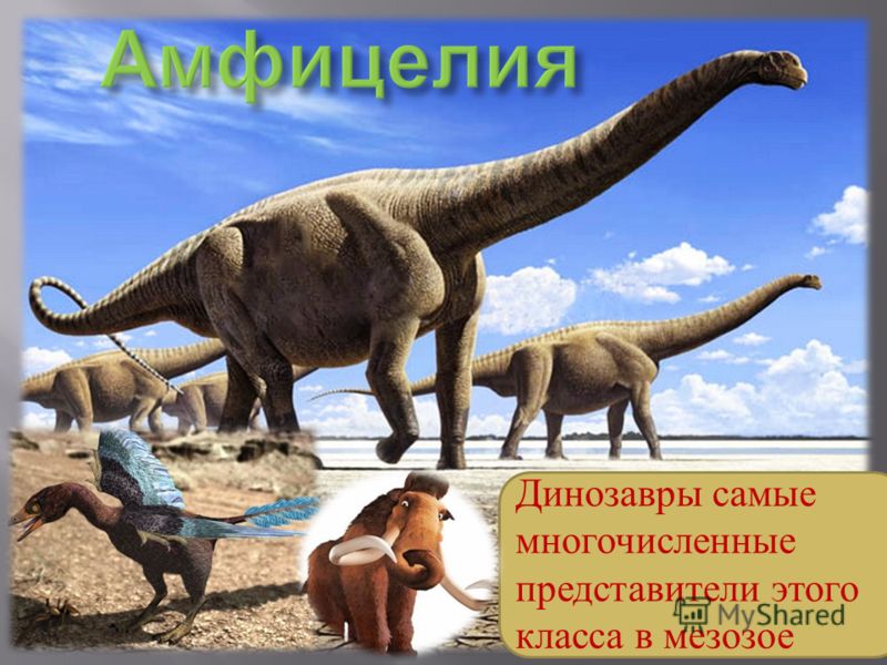 Динозавры самые многочисленные представители этого класса в мезозое