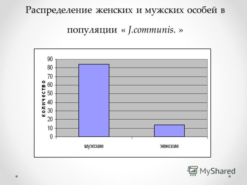 Распределение женских и мужских особей в популяции « J.communis. »