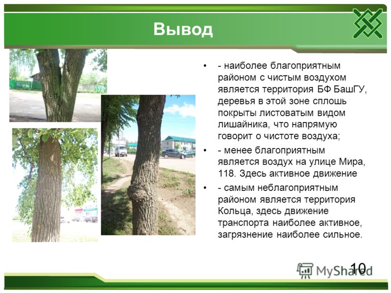 Вывод - наиболее благоприятным районом с чистым воздухом является территория БФ БашГУ, деревья в этой зоне сплошь покрыты листоватым видом лишайника, что напрямую говорит о чистоте воздуха; - менее благоприятным является воздух на улице Мира, 118. Зд