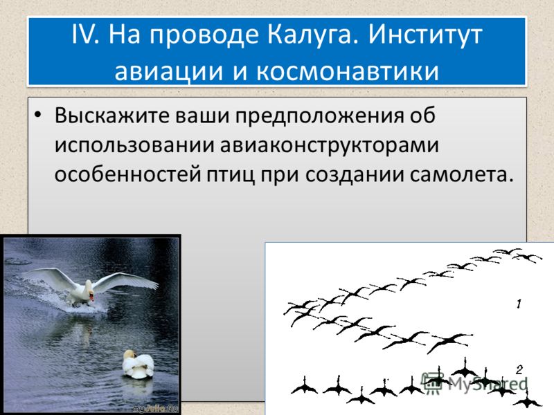 IV. На проводе Калуга. Институт авиации и космонавтики Выскажите ваши предположения об использовании авиаконструкторами особенностей птиц при создании самолета.
