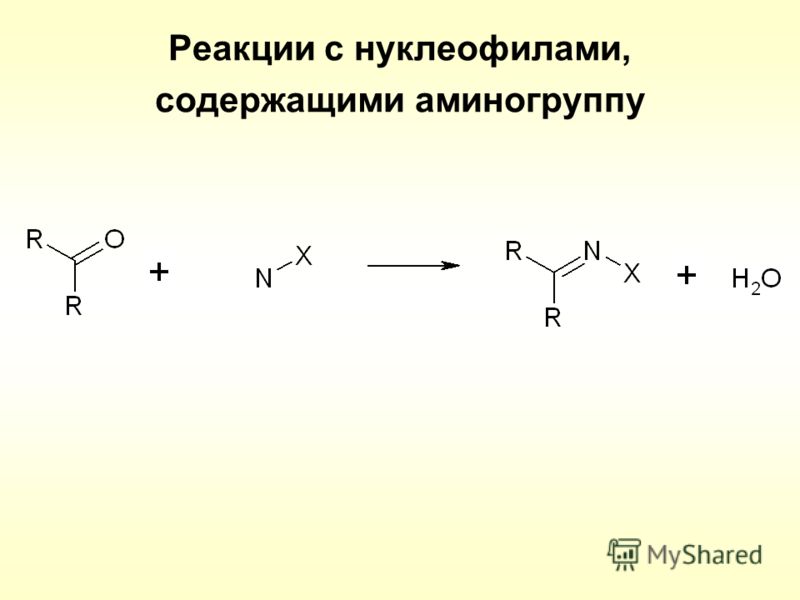 Реакции с нуклеофилами, содержащими аминогруппу