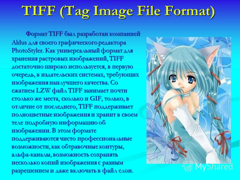 TIFF (Tag Image File Format) Формат TIFF был разработан компанией Aldus для своего графического редактора PhotoStyler. Как универсальный формат для хранения растровых изображений, TIFF достаточно широко используется, в первую очередь, в издательских 