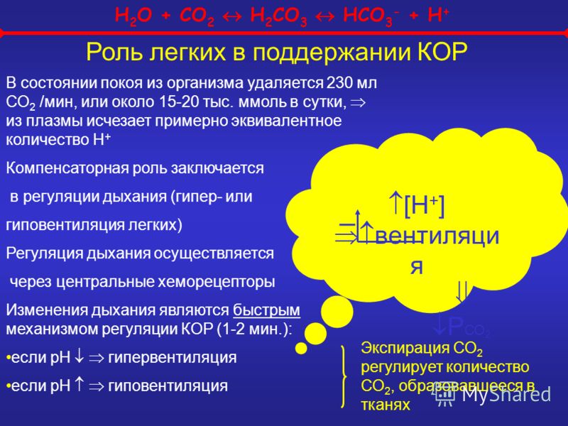 H 2 O + CO 2 H 2 CO 3 HCO 3 - + H + Роль легких в поддержании КОР В состоянии покоя из организма удаляется 230 мл СО 2 /мин, или около 15-20 тыс. ммоль в сутки, из плазмы исчезает примерно эквивалентное количество Н + Компенсаторная роль заключается 