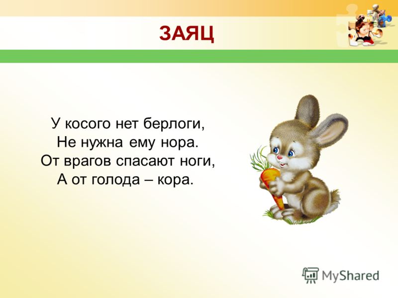 Картинки диких животных для детей 4 лет Картинки диких животных для детей 4 лет