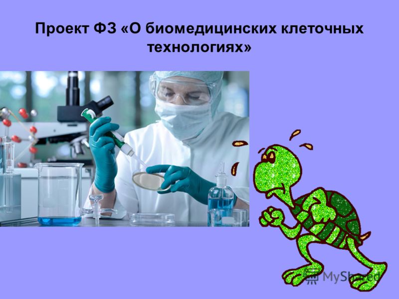 Проект ФЗ «О биомедицинских клеточных технологиях»
