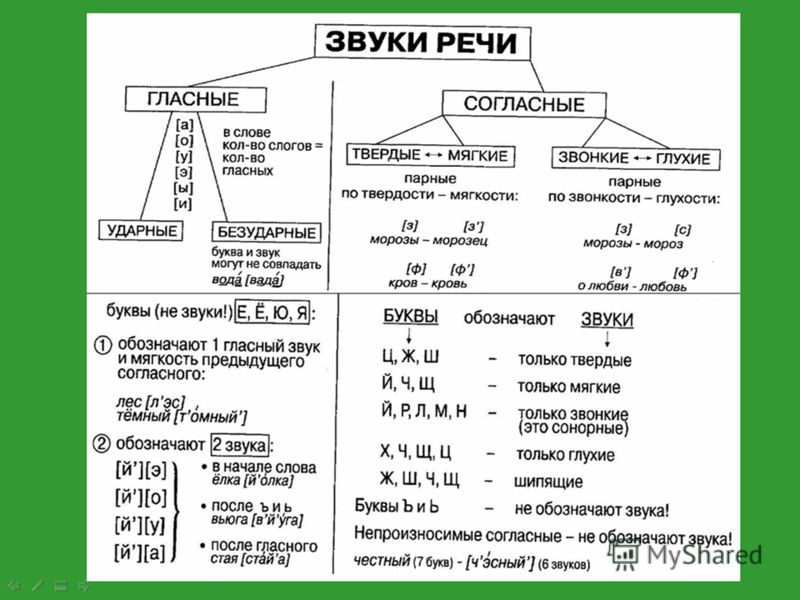 Звуки русского языка в таблицах и схемах Звуки русского языка в таблицах и схемах