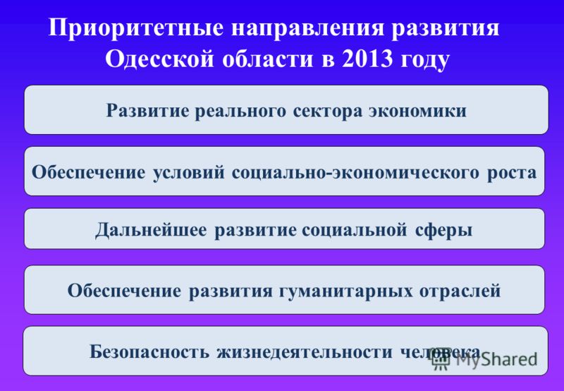 Приоритетные направления развития Одесской области в 2013 году Развитие реального сектора экономики Обеспечение условий социально-экономического роста Дальнейшее развитие социальной сферы Обеспечение развития гуманитарных отраслей Безопасность жизнед