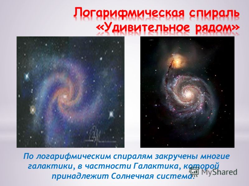 По логарифмическим спиралям закручены многие галактики, в частности Галактика, которой принадлежит Солнечная система.