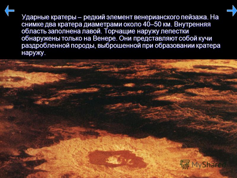 Ударные кратеры – редкий элемент венерианского пейзажа. На снимке два кратера диаметрами около 40–50 км. Внутренняя область заполнена лавой. Торчащие наружу лепестки обнаружены только на Венере. Они представляют собой кучи раздробленной породы, выбро