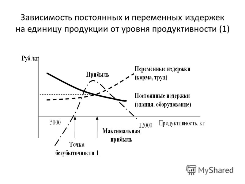 Зависимость постоянных и переменных издержек на единицу продукции от уровня продуктивности (1)