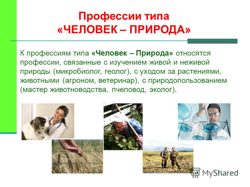 Какие есть профессии связанные с природой Какие есть профессии связанные с природой