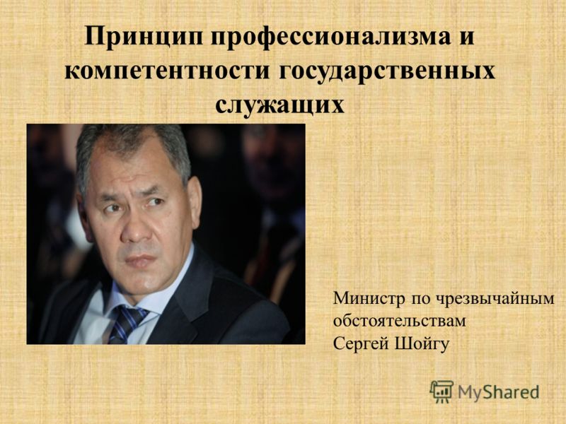 Принцип профессионализма и компетентности государственных служащих Министр по чрезвычайным обстоятельствам Сергей Шойгу