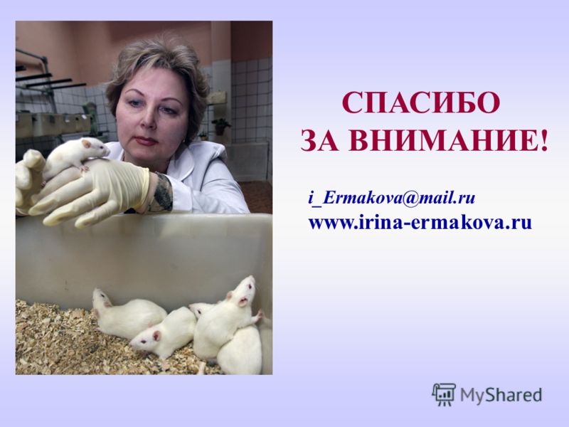 СПАСИБО ЗА ВНИМАНИЕ! i_Ermakova@mail.ru www.irina-ermakova.ru