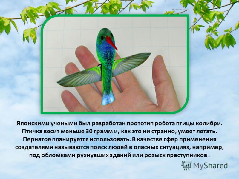 Японскими учеными был разработан прототип робота птицы колибри. Птичка весит меньше 30 грамм и, как это ни странно, умеет летать. Пернатое планируется использовать. В качестве сфер применения создателями называются поиск людей в опасных ситуациях, на