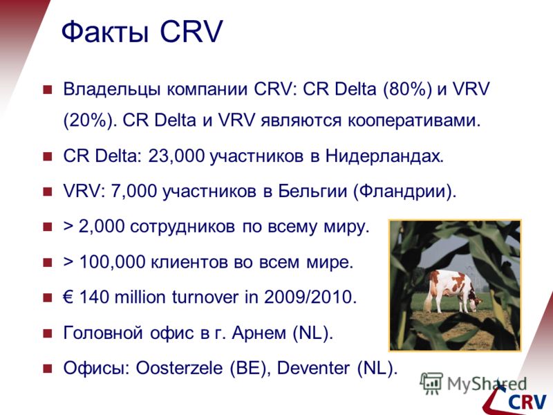 Владельцы компании CRV: CR Delta (80%) и VRV (20%). CR Delta и VRV являются кооперативами. CR Delta: 23,000 участников в Нидерландах. VRV: 7,000 участников в Бельгии (Фландрии). > 2,000 сотрудников по всему миру. > 100,000 клиентов во всем мире. 140 