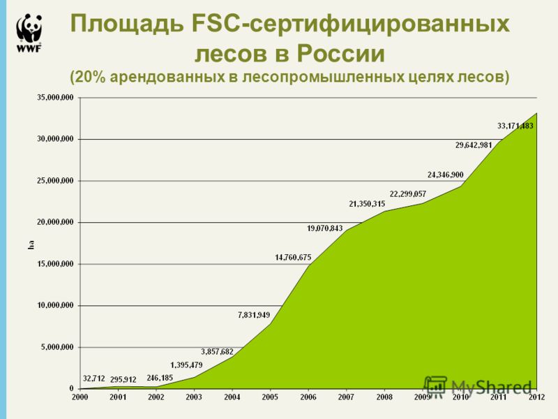 Площадь FSC-сертифицированных лесов в России (20% арендованных в лесопромышленных целях лесов)