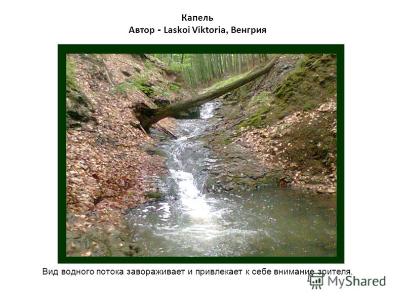 Капель Автор - Laskoi Viktoria, Венгрия Вид водного потока завораживает и привлекает к себе внимание зрителя.
