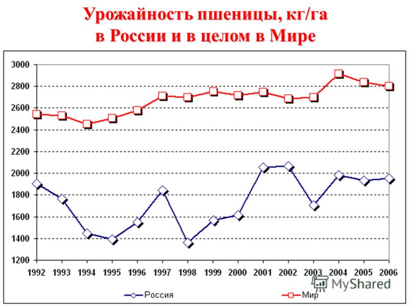 Урожайность пшеницы, кг/га в России и в целом в Мире