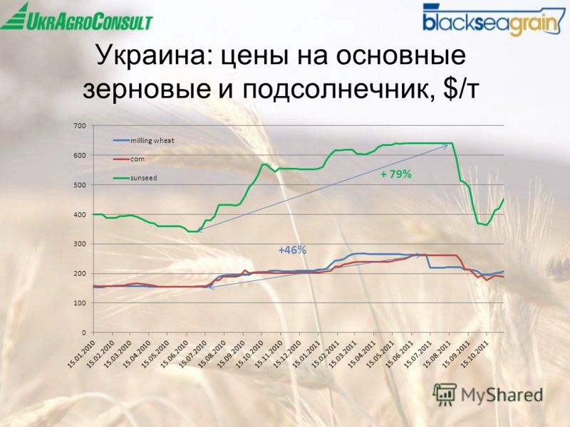 Украина: цены на основные зерновые и подсолнечник, $/т