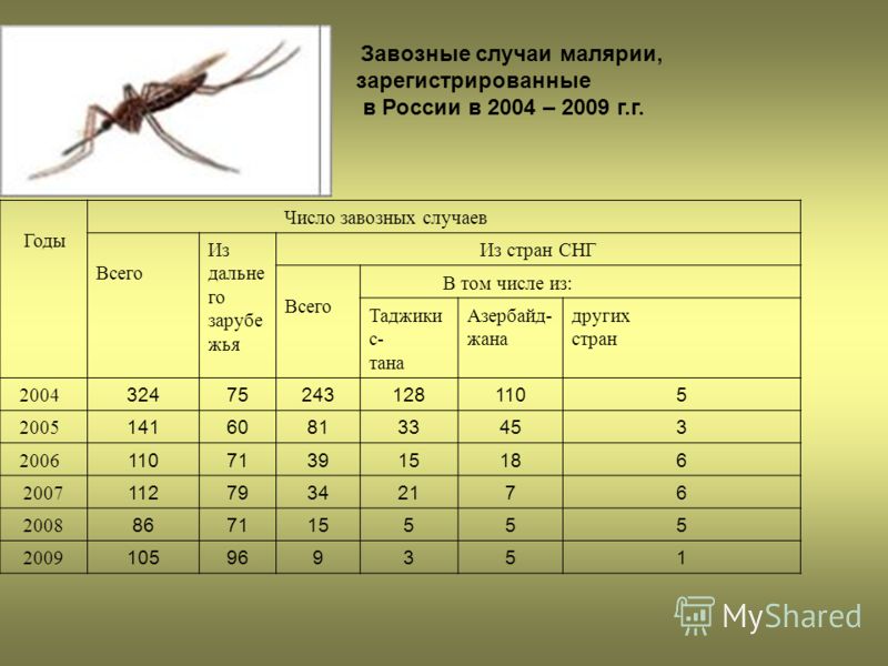 Завозные случаи малярии, зарегистрированные в России в 2004 – 2009 г.г. Годы Число завозных случаев Всего Из дальне го зарубе жья Из стран СНГ Всего В том числе из: Таджики с- тана Азербайд- жана других стран 2004 324752431281105 2005 141608133453 20