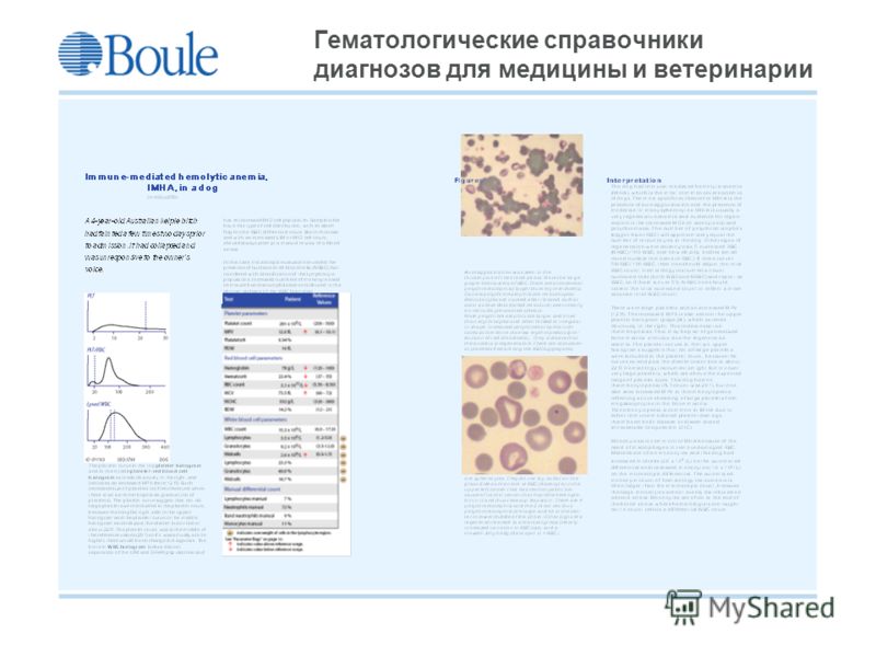 Boule 2008-09-21 Гематологические справочники диагнозов для медицины и ветеринарии