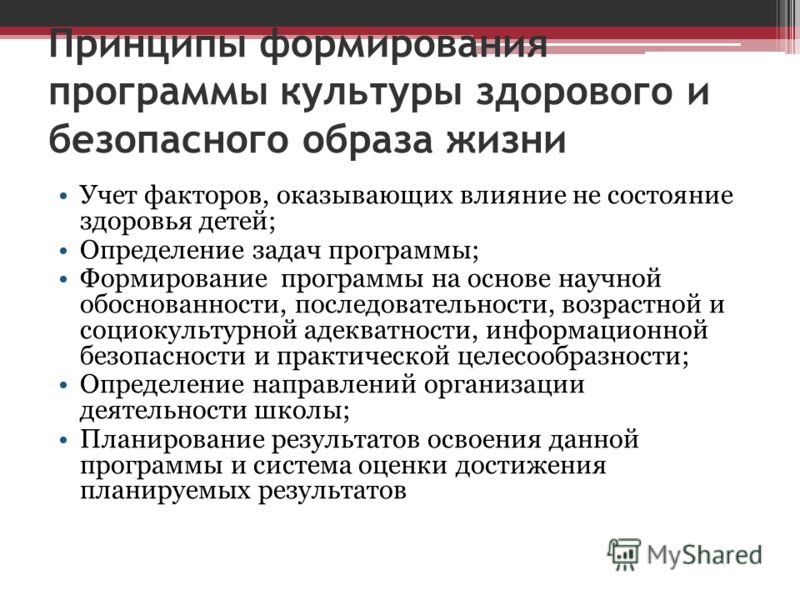 Курсовая работа: Здоровьесберегающие принципы в организации учебно-воспитательного процесса