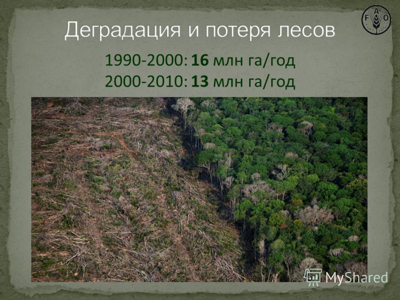 1990-2000: 16 млн га/год 2000-2010: 13 млн га/год