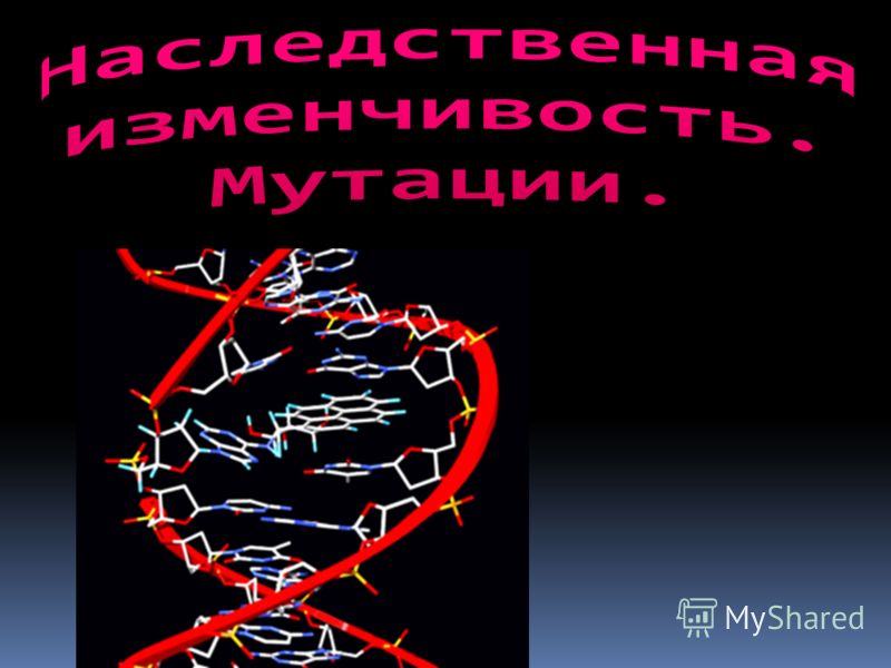 Сеанс восстановления зрения после 1 просмотра