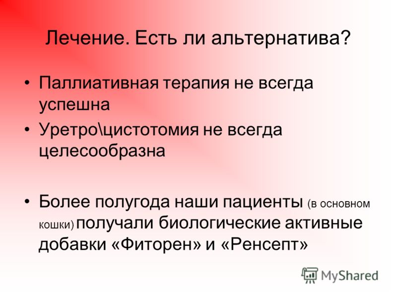 Арбуз при цистите