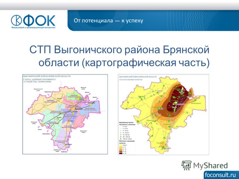 СТП Выгоничского района Брянской области (картографическая часть)