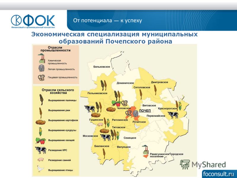 36 Экономическая специализация муниципальных образований Почепского района