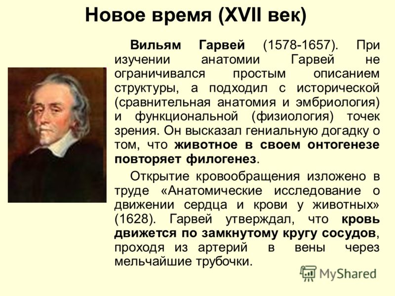 ebook история восточных славян монгольское нашествие на