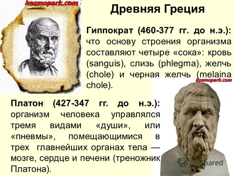 Гиппократ (460-377 гг. до н.э.): что основу строения организма составляют четыре «сока»: кровь (sanguis), слизь (phlegma), желчь (chole) и черная желчь (melaina chole). Платон (427-347 гг. до н.э.): организм человека управлялся тремя видами «души», и