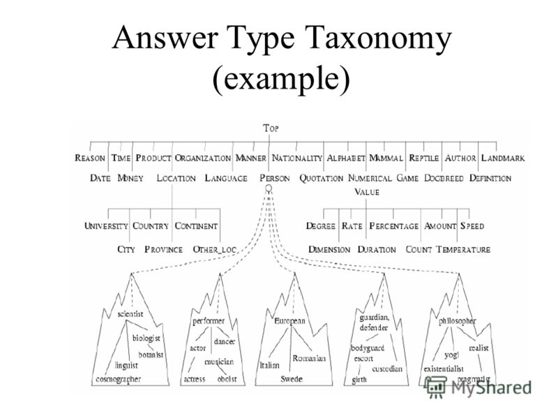 Answer Type Taxonomy (example)