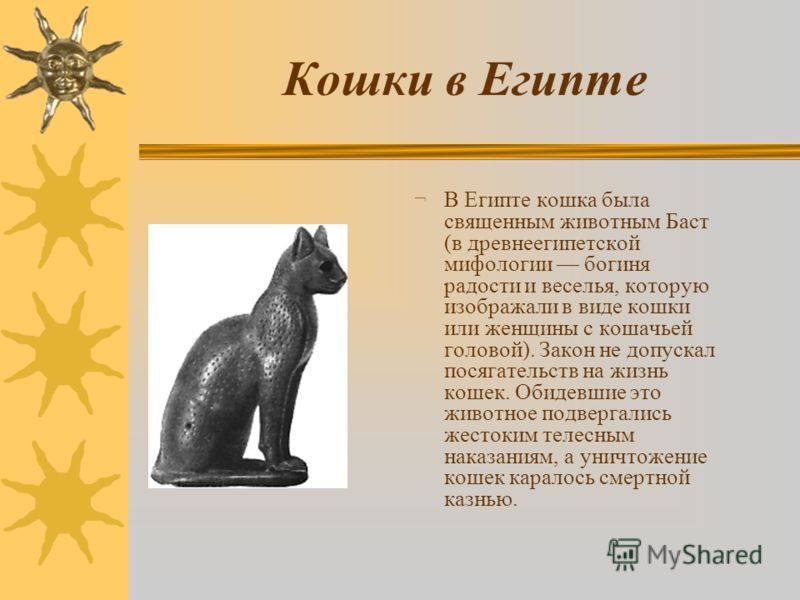 Кошки в Египте ¬ В Египте кошка была священным животным Баст (в древнеегипетской мифологии богиня радости и веселья, которую изображали в виде кошки или женщины с кошачьей головой). Закон не допускал посягательств на жизнь кошек. Обидевшие это животн