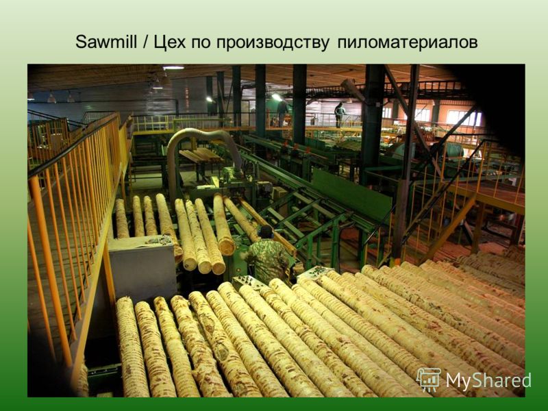 Sawmill / Цех по производству пиломатериалов