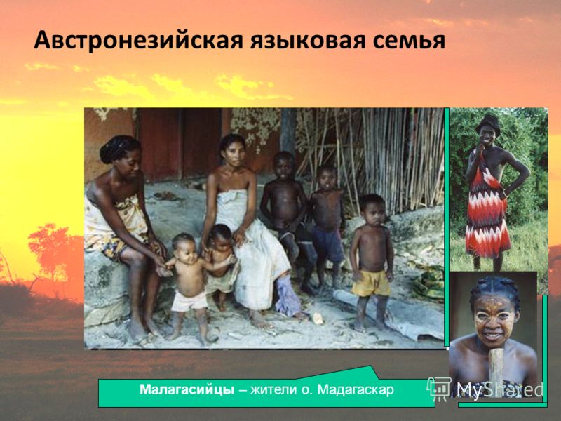 Австронезийская языковая семья Малагасийцы – жители о. Мадагаскар