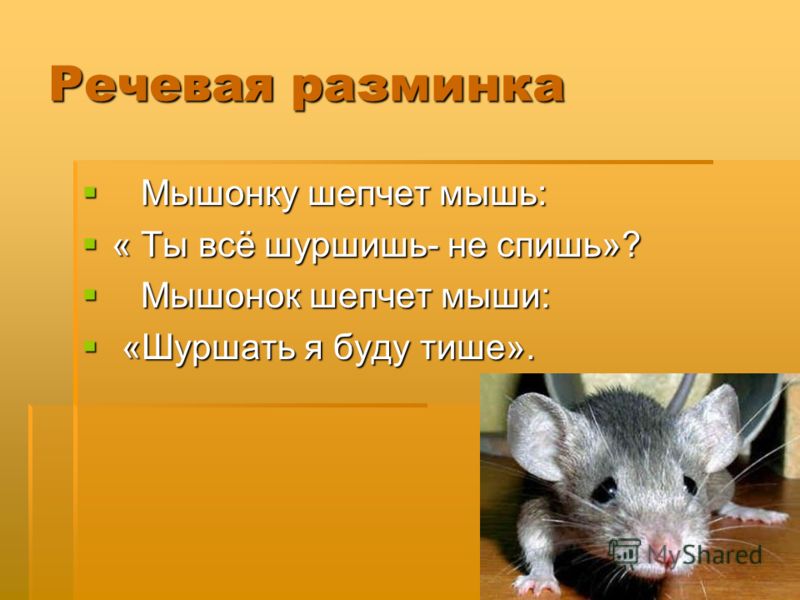 Речевая разминка Мышонку шепчет мышь: Мышонку шепчет мышь: « Ты всё шуршишь- не спишь»? « Ты всё шуршишь- не спишь»? Мышонок шепчет мыши: Мышонок шепчет мыши: «Шуршать я буду тише». «Шуршать я буду тише».