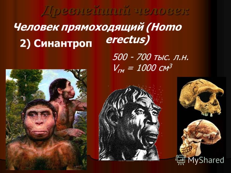 Древнейший человек 500 - 700 тыс. л.н. V гм = 1000 см 3 Человек прямоходящий (Homo erectus) 2) Синантроп