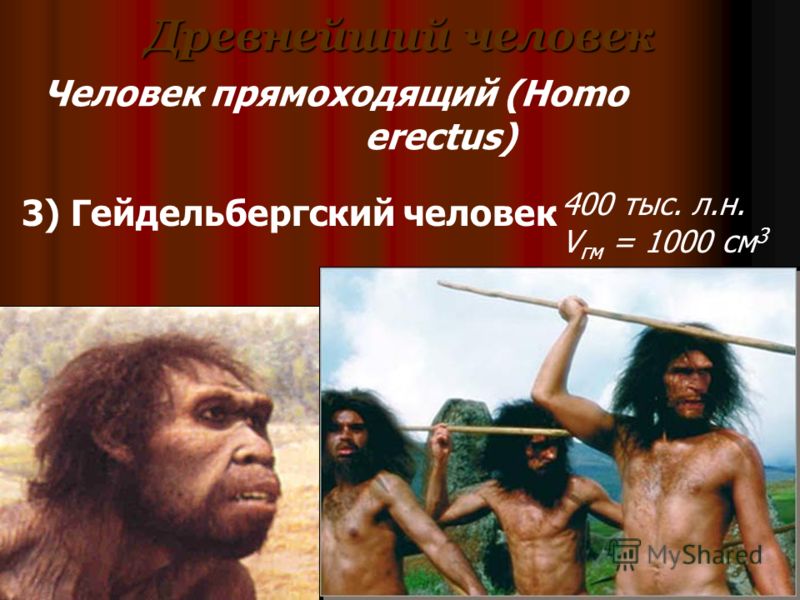 Древнейший человек 400 тыс. л.н. V гм = 1000 см 3 Человек прямоходящий (Homo erectus) 3) Гейдельбергский человек