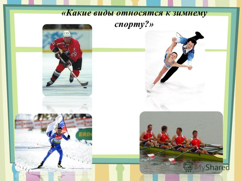 «Какие виды относятся к летнему спорту?»