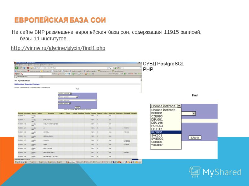 ЕВРОПЕЙСКАЯ БАЗА СОИ На сайте ВИР размещена европейская база сои, содержащая 11915 записей, базы 11 институтов. http://vir.nw.ru/glycine/glycin/find1.php СУБД PostgreSQL PHP