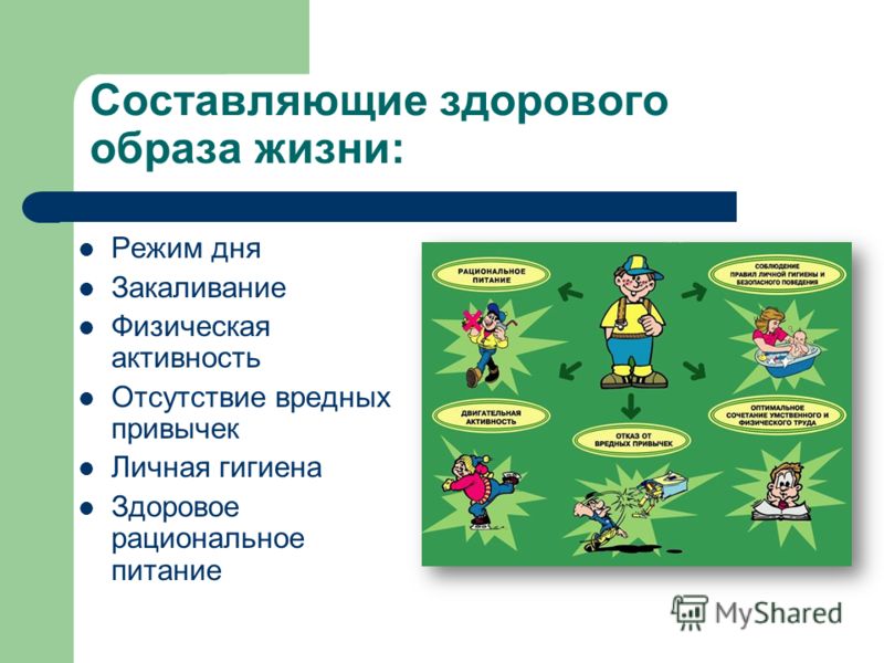 Магазины тканей от А до Я. Ткани, пряжа, кожа, фурнитура Курятник на 20 кур своими
