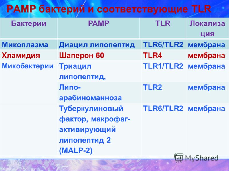 МикоплазмаДиацил липопептидTLR6/TLR2мембрана ХламидияШаперон 60TLR4мембрана Микобактерии Триацил липопептид, TLR1/TLR2мембрана Липо- арабиноманноза TLR2мембрана Туберкулиновый фактор, макрофаг- активирующий липопептид 2 (MALP-2) TLR6/TLR2мембрана Бак