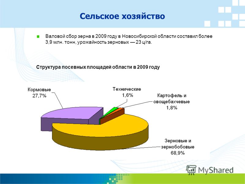 Валовой сбор зерна в 2009 году в Новосибирской области составил более 3,9 млн. тонн, урожайность зерновых 23 ц/га. Сельское хозяйство Структура посевных площадей области в 2009 году